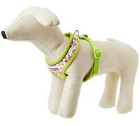 Ancol Lime Flowers Dog Harness - Adjustable Nylon Straps, Quick-Click Buckles, Soft Padded & Breathable Pet Training Accessory, Small