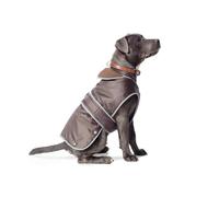 Ancol Muddy Paws Dog Puppy Coat All Weather Waterproof Reflective Winter Jacket