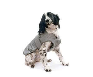 Ancol Muddy Paws Ultimate Reflective Water Resistant Stretchy Dog Coat Cosy Puppy Sweater, Small