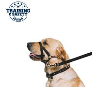 Ancol Nylon Dog Training Halter Black - Perfect For Dogs Who Pull