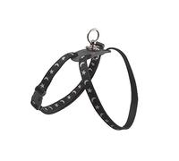 Ancol Nylon Figure 8 Cat Harness Moon & Stars Design Black Reflective Easy Fit Comfortable Safe Walking Accessory for Cats and Kittens