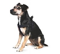 Ancol Nylon Padded Reflective Dog Harness Black Premium Webbing Comfortable Adjustable Pet Puppy Walking Accessory - Extra Small Size 1-2