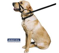 Ancol Nylon Training Halter Size Xl Extra Large (7-9) 68 Cm Around Neck/46 Cm Around Snout, Black