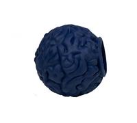 Ancol Orva Brain Ball - Pet Toys