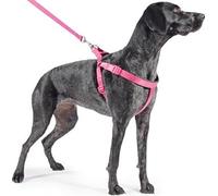 Ancol Padded Dog Harness with Reflective Stitching - Raspberry Nylon Comfort Walking Accessory for Dogs Puppies - Small Size 46-57 cm