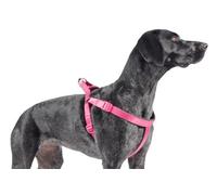 Ancol Padded Dog Harness with Reflective Stitching - Raspberry Nylon Comfort Walking Accessory for Dogs Puppies - Small Size 46-57 cm