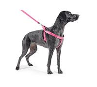 Ancol Padded Nylon Dog harness Raspberry Pink XL 88-120 cm girth