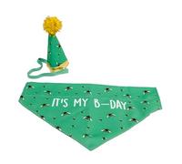 Ancol Pawty Time B-Day Birthday Hat and Bandana Set Bee Pattern