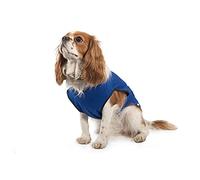 Ancol Pet Cooling Coat Small 30 cm, red