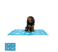 Ancol Pet Cooling Mat 45 x 60cm - Summer Waterproof Dogs Resting Pad - Quickly Reduces Puppy Temperature Outdoor Bed - Small