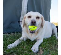 Ancol Playtime Chase Ancol Tennis Balls - Pet Toys - Size: Each