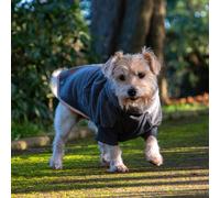 Ancol Dog Polar Fleece in Grey - Snug Fit Pet Jumper with Hook and Loop Tab, Ribbed Sleeves and Chest - Reflective Edging Puppy Apparel - M