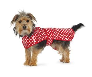 Ancol Polka Dot Dog Rain Coat Red White Lightweight PVC Blanket Style Velcro Fastening Puppy Pet Weatherproof Apparel Large