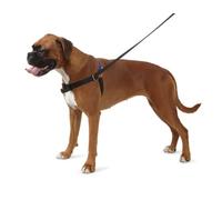 Ancol/Pure Dog Listeners - Stop Pulling Dog Training Harness & Lead Set - X-Large Size 8-9 (inc DVD)