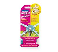 Ancol Rabbit Harness & lead set Blue Polka