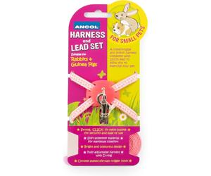 Ancol Rabbit Harness And Lead Set - Pink
