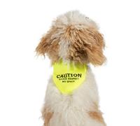 Ancol Respect My Space Warning Yellow Dog Bandana Pet Training Accessory, Medium / Large