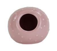 Ancol Small Animal Bobble Hide - Ceramic, Cosy Hideout for Hamsters, Mice & Gerbils for Resting, Nesting & Comfort - Easy to Clean Pet Shelter