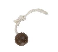 Ancol Small Bite Coffee Ground Ball Dog Toy - Rubber, Tear Resistant Textured Ball for Teething Puppies & Small Dogs