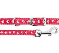 Ancol Small Bite Reflective Collar and Lead Set Blue Red Nylon Design for Puppies and Small Dogs - Adjustable Collar with Snap Buckle Fastening