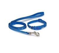 Ancol Small Bite Reflective Collar and Lead set for small dogs and puppies- Blue Bones