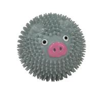 Ancol Small Bite Spikey Pig Ball Ideal for Puppies and Smaller Dogs