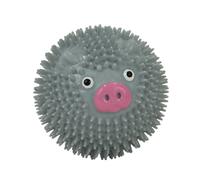 Ancol Small Bite Spikey Pig Ball Puppy Toy 1 Toy