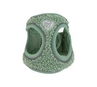 Ancol Small Bite Teddy Bear Step-In Dog Harness, Sage, Small 35-42cm | Breathable mesh keeps pups cozy, hook-and-loop adjustments ensure a secure fit, and eco-packaging supports sustainability.