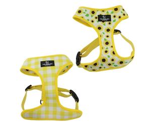 Ancol Soho Sunflower Yellow Check Reversible Harness - Extra Small (23-38cm)
