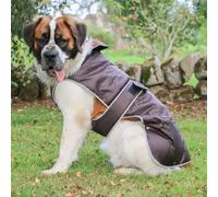 Ancol Stormguard Fleece Lined Dog Coat and Chest Protector - Choc - Large