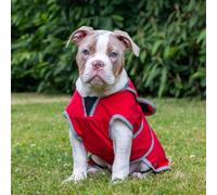 Ancol Stormguard Soft Shell Dog Coat in Bordeaux - Waterproof Pet Rain Jacket with Zipped Harness Hole - Reflective Edging Puppy Apparel - XS