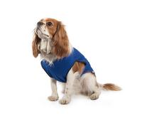 Ancol Pet Cooling Coat Small 30 cm, red