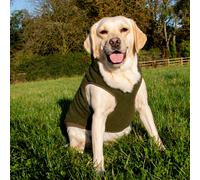 Ancol Teddy Sherpa Dog Jumper - Green - Size: Small - Dog Jackets