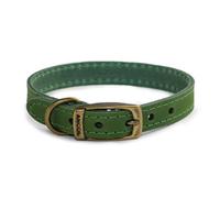 Ancol Timberwolf Comfortable Durable Leather Green Dog Collar Pet Training Accessory 55-63 Cm, Size 8