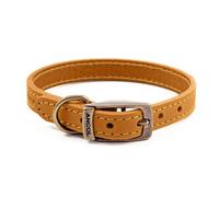 Ancol Timberwolf Comfortable Durable Leather Mustard Dog Collar Pet Training Accessory 35-43 Cm, Size 4