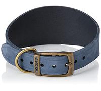 Ancol Timberwolf Greyhound Collar Blue 34-43 cm