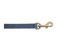 Ancol Timberwolf Leather Dog Lead, 1 m, Blue