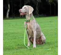 Ancol Timberwolf Leather Dog Lead - Green - Size: Large
