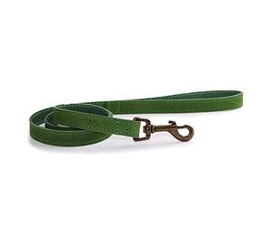 Ancol Timberwolf Leather Dog Lead in Green - Top Grain Bridle Leather Durable Pet Walking Accessory with Antique Gold Hook - 1m x 19mm