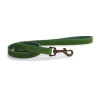 Ancol Timberwolf Leather Green Dog Puppy Lead Pet Leash Training Accessory, 1M X 19mm