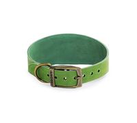 Ancol Timberwolf Leather Greyhound Collar Green, 34-43 cm
