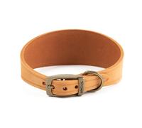 Ancol Timberwolf Leather Greyhound Dog Collar in Mustard - Top Grain Bridle Leather Comfortable Durable Pet Training Accessory - 34-43cm