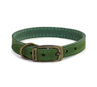 Ancol Timberwolf Premium Leather Dog Collar - Comfortable Durable Pet Training Accessory - Green Bridle Leather - Soft Supple Waterproof Treated - 39-48cm Size 5