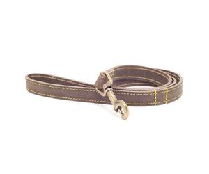 Ancol Timberwolf Real Leather Dog Puppy Lead Light Strong Sable Blue Mustard