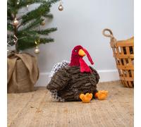 Ancol Tina Turkey Dog Toy - Pet Toys