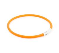 Ancol USB Rechargeable Night Time Safety Halo for Dogs Cats - Clear Waterproof Pet Walking Accessory - Reflective Light for Evening Visibility - 70 cm Size
