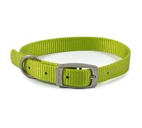 Ancol Viva Buckle Collar Lime 20-26cm