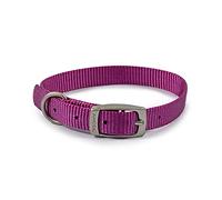 Ancol Viva Comfortable Durable Weatherproof Purple Dog Collar with Satin Buckle and ID Loop - Size 1 20-26cm / XXS