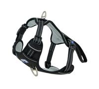 Ancol Viva Dog Harness Black - Exercise & Travel Safety Car Seatbelt Padded