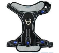 Ancol Viva Dog Travel Harness - Secure, Comfortable & Reflective Design-Blk,Red